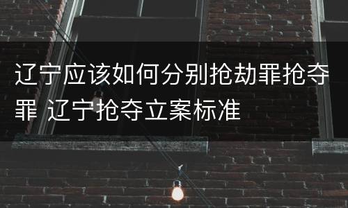 辽宁应该如何分别抢劫罪抢夺罪 辽宁抢夺立案标准