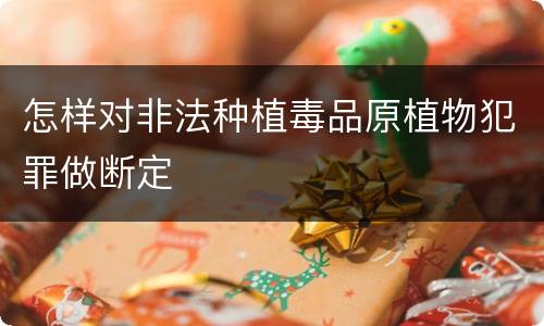 怎样对非法种植毒品原植物犯罪做断定