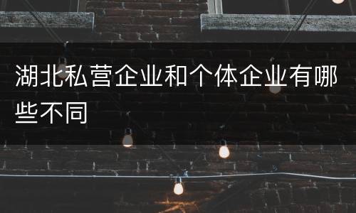 湖北私营企业和个体企业有哪些不同