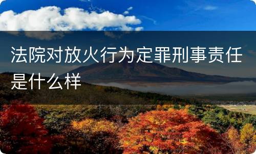 法院对放火行为定罪刑事责任是什么样