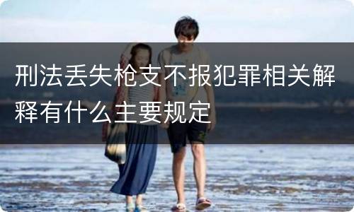 刑法丢失枪支不报犯罪相关解释有什么主要规定