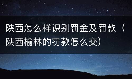 陕西怎么样识别罚金及罚款（陕西榆林的罚款怎么交）