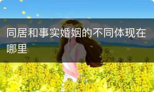 同居和事实婚姻的不同体现在哪里