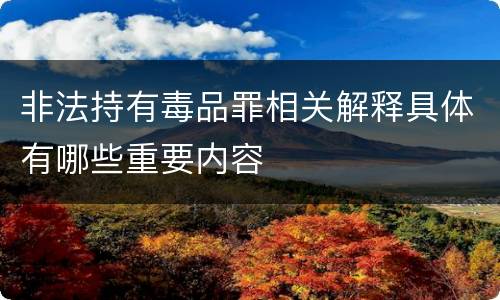非法持有毒品罪相关解释具体有哪些重要内容