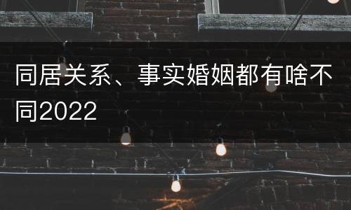 同居关系、事实婚姻都有啥不同2022