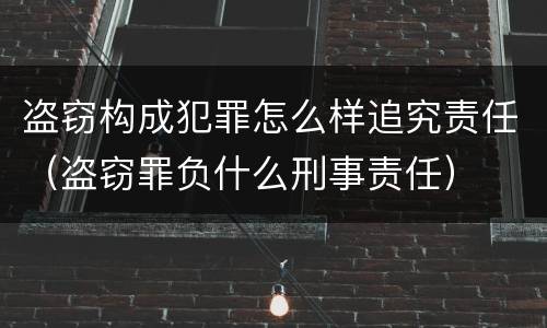 盗窃构成犯罪怎么样追究责任（盗窃罪负什么刑事责任）