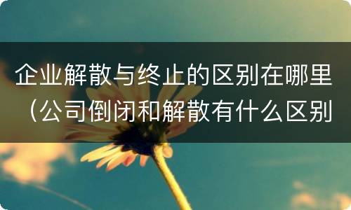 企业解散与终止的区别在哪里（公司倒闭和解散有什么区别）