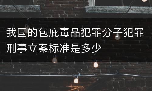 我国的包庇毒品犯罪分子犯罪刑事立案标准是多少