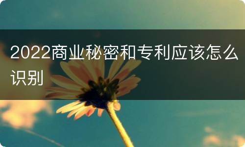 2022商业秘密和专利应该怎么识别