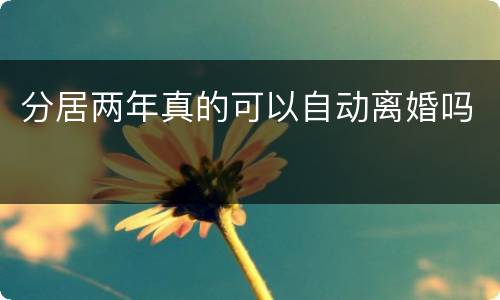 分居两年真的可以自动离婚吗