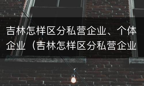 吉林怎样区分私营企业、个体企业（吉林怎样区分私营企业,个体企业呢）