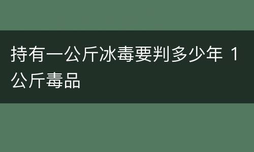 持有一公斤冰毒要判多少年 1公斤毒品