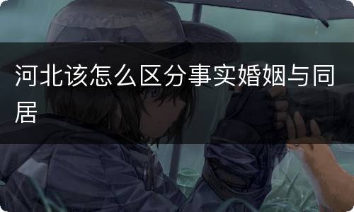 河北该怎么区分事实婚姻与同居