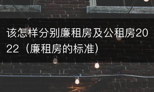 该怎样分别廉租房及公租房2022（廉租房的标准）