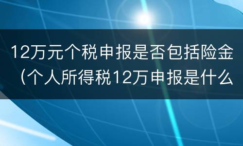 12万元个税申报是否包括险金（个人所得税12万申报是什么意思）