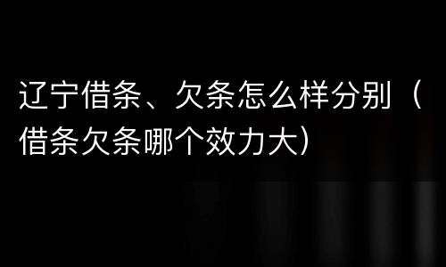 辽宁借条、欠条怎么样分别（借条欠条哪个效力大）