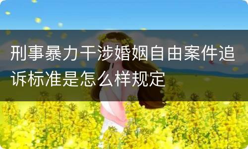 刑事暴力干涉婚姻自由案件追诉标准是怎么样规定
