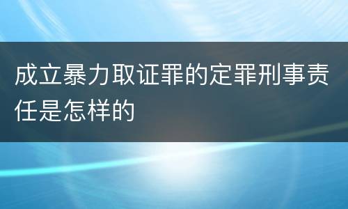 成立暴力取证罪的定罪刑事责任是怎样的