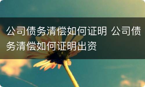 公司债务清偿如何证明 公司债务清偿如何证明出资