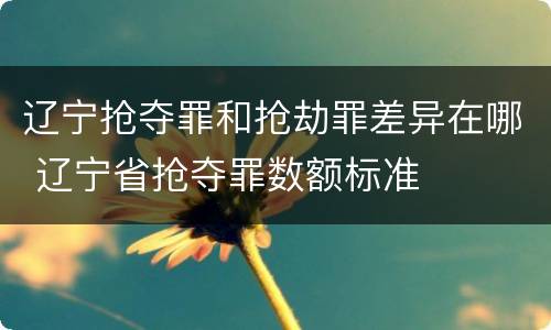 辽宁抢夺罪和抢劫罪差异在哪 辽宁省抢夺罪数额标准