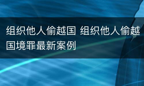 组织他人偷越国 组织他人偷越国境罪最新案例