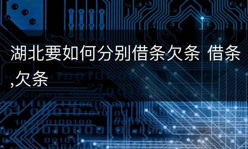 湖北要如何分别借条欠条 借条,欠条