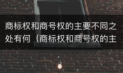 商标权和商号权的主要不同之处有何（商标权和商号权的主要不同之处有何影响）