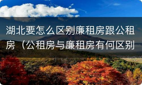 湖北要怎么区别廉租房跟公租房（公租房与廉租房有何区别）