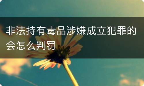 非法持有毒品涉嫌成立犯罪的会怎么判罚