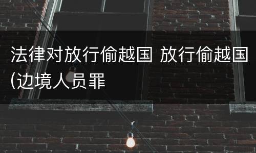 法律对放行偷越国 放行偷越国(边境人员罪