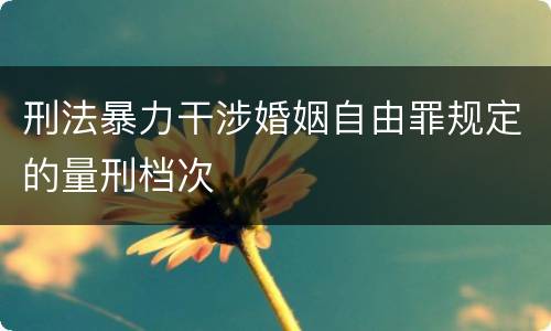 刑法暴力干涉婚姻自由罪规定的量刑档次