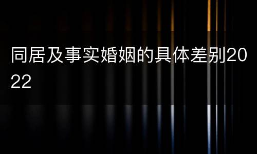 同居及事实婚姻的具体差别2022