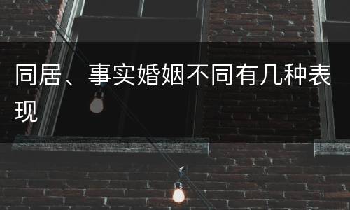 同居、事实婚姻不同有几种表现