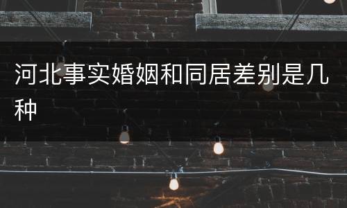 河北事实婚姻和同居差别是几种