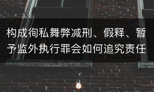构成徇私舞弊减刑、假释、暂予监外执行罪会如何追究责任