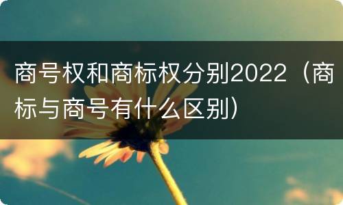 商号权和商标权分别2022（商标与商号有什么区别）
