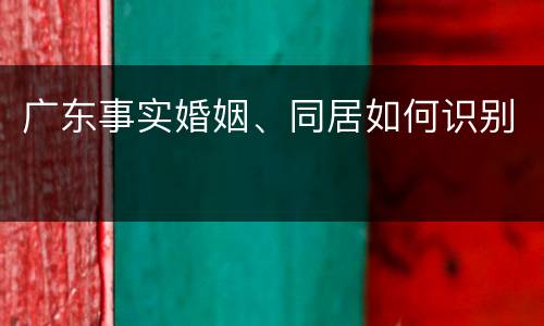 广东事实婚姻、同居如何识别