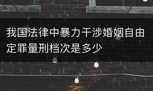我国法律中暴力干涉婚姻自由定罪量刑档次是多少