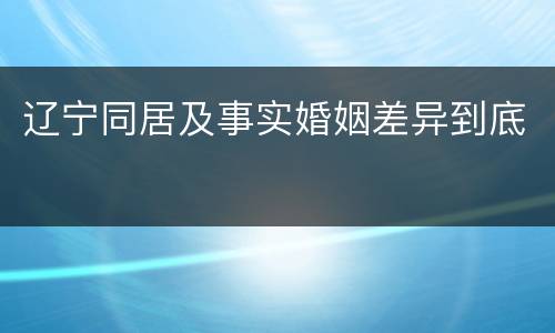 辽宁同居及事实婚姻差异到底