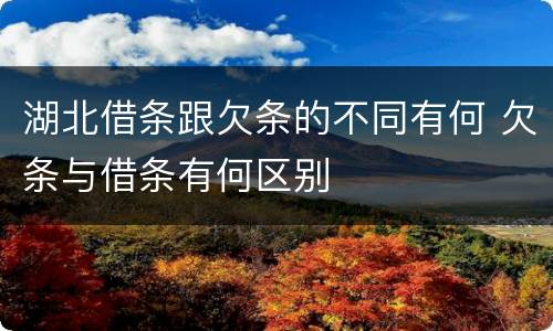 湖北借条跟欠条的不同有何 欠条与借条有何区别