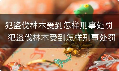 犯盗伐林木受到怎样刑事处罚 犯盗伐林木受到怎样刑事处罚呢