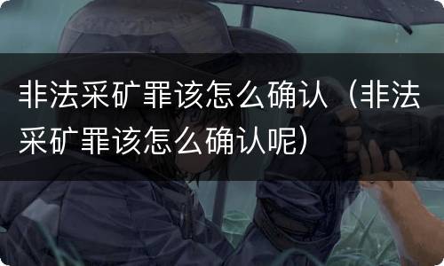 非法采矿罪该怎么确认（非法采矿罪该怎么确认呢）