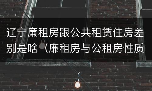 辽宁廉租房跟公共租赁住房差别是啥（廉租房与公租房性质是一样的吗）