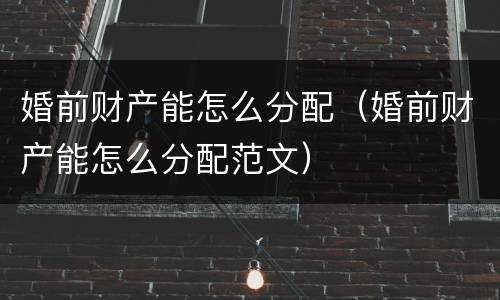 婚前财产能怎么分配（婚前财产能怎么分配范文）