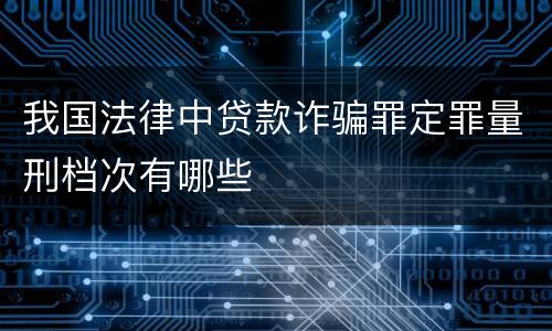 我国法律中贷款诈骗罪定罪量刑档次有哪些