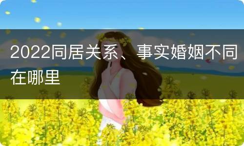 2022同居关系、事实婚姻不同在哪里