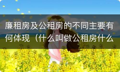 廉租房及公租房的不同主要有何体现（什么叫做公租房什么叫做廉租房）