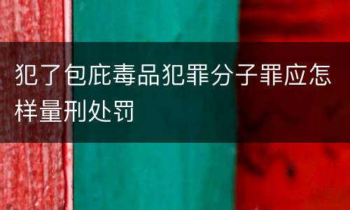 犯了包庇毒品犯罪分子罪应怎样量刑处罚
