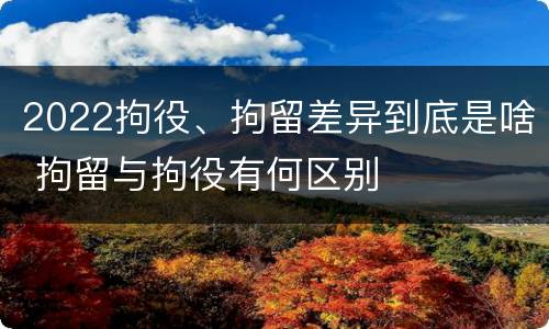 2022拘役、拘留差异到底是啥 拘留与拘役有何区别