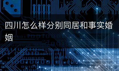 四川怎么样分别同居和事实婚姻